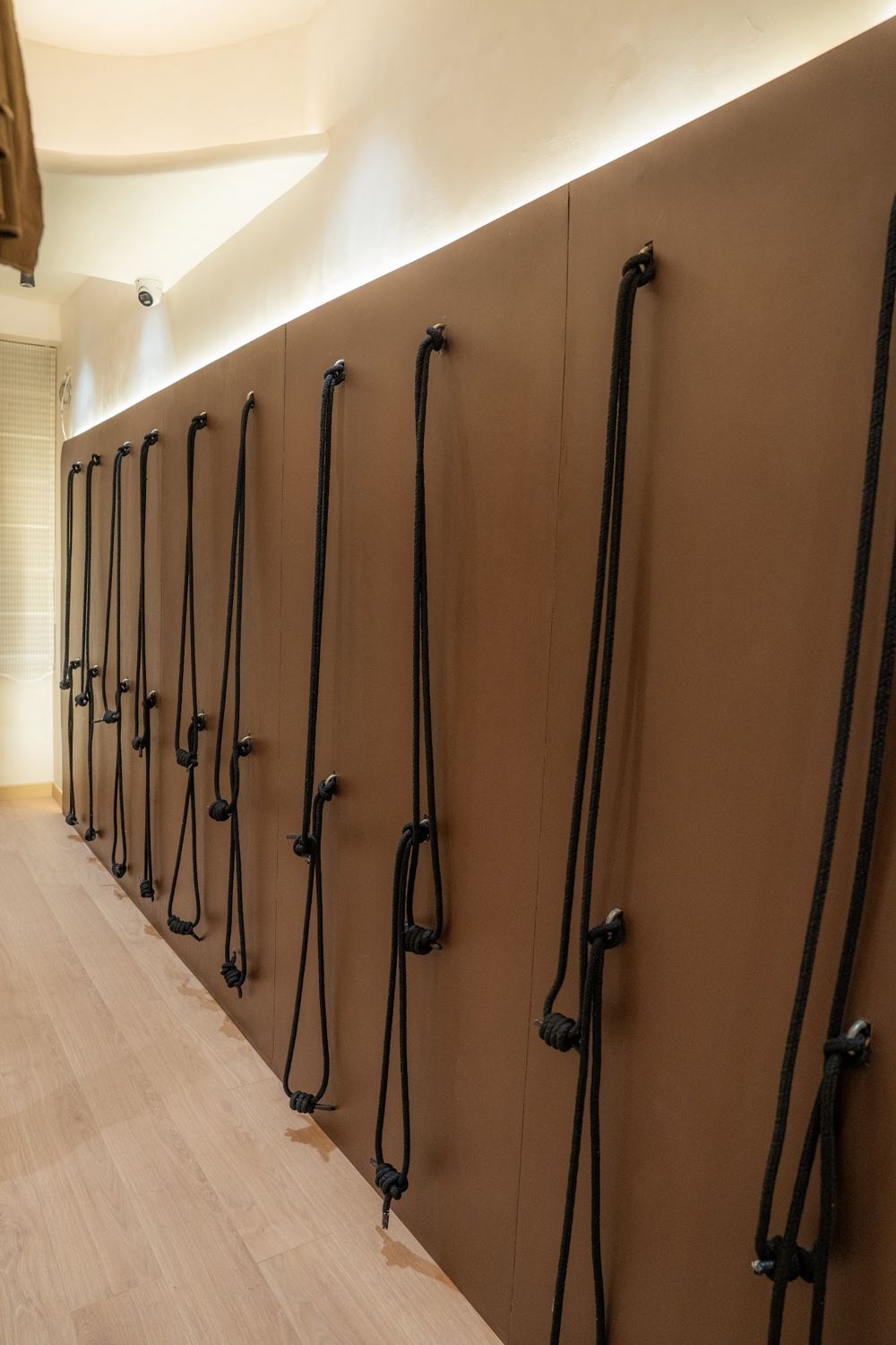 Wall yoga ropes at O5